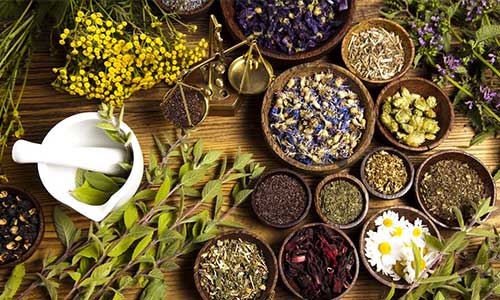گیاهان موثر در درمان آکنه